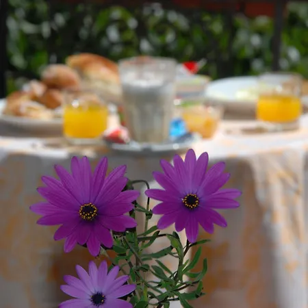 Hotel Del Centro Palermo